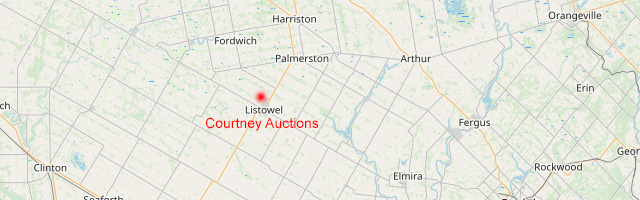 THE AUCTION ADVERTISER